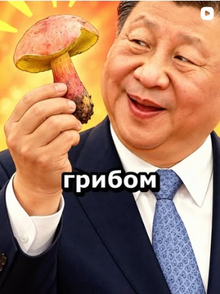 Самый загадочный гриб Китая